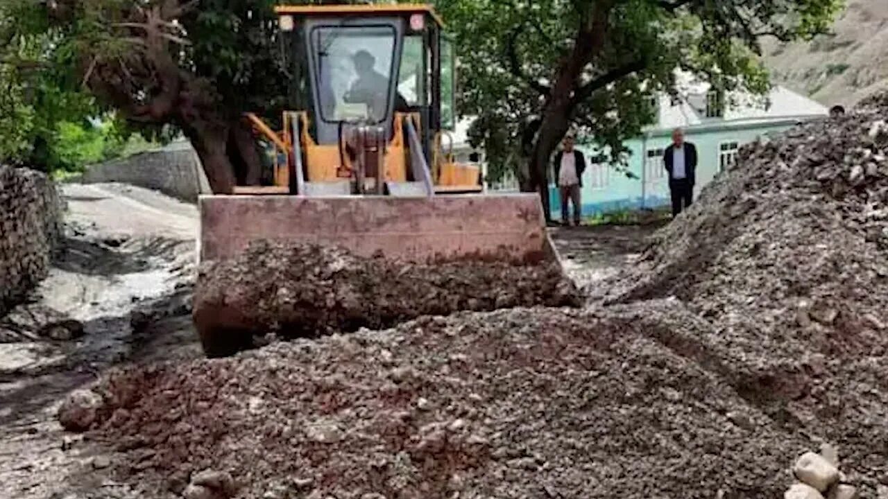 Сели пили
