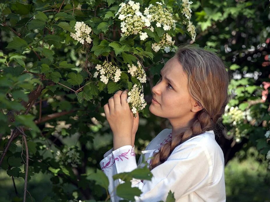 Черная смородина песня пусть распускаются. Цветет Калина ручья. Цветет черемуха. Исаковский Ой цветёт Калина. Девушка под кустом. Фотосессия в цветущей черемухе.