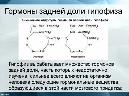 Гормоны заднего гипофиза