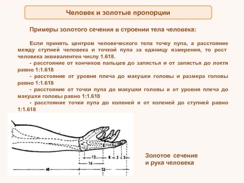 От кончика пальца до локтя