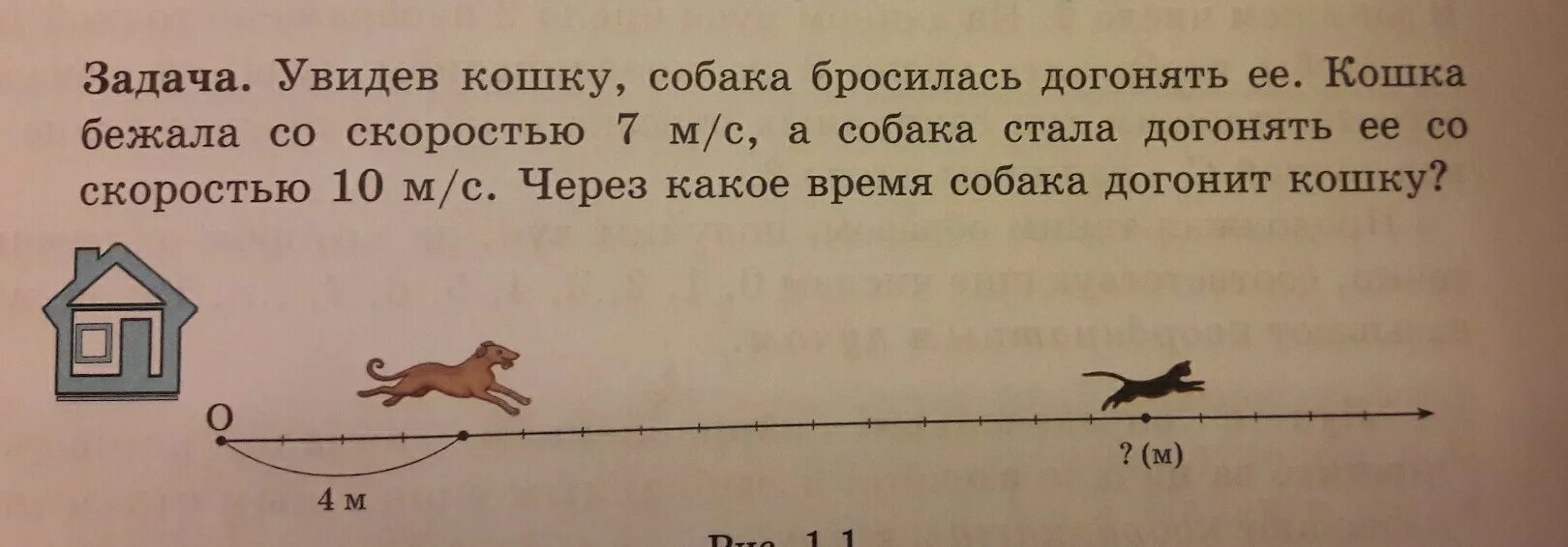 Задача про мышей. Скорость собаки м/с. Задача про собаку и кошку. Задача про кошек.