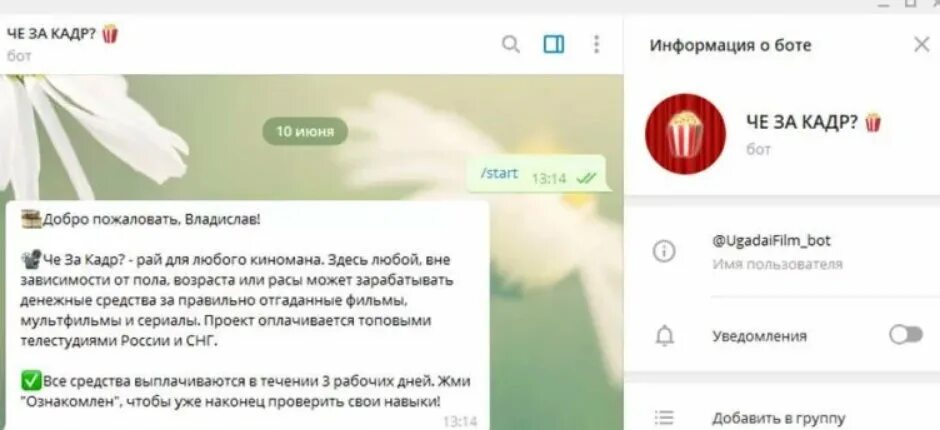 заработок в телеграмме. заработок в телеграмме на ботах. выполнение заданий за деньги в интернете без вложений с выводом. бот в телеграмме мужчина или женщина для заработка. бот где можно зарабатывать деньги.