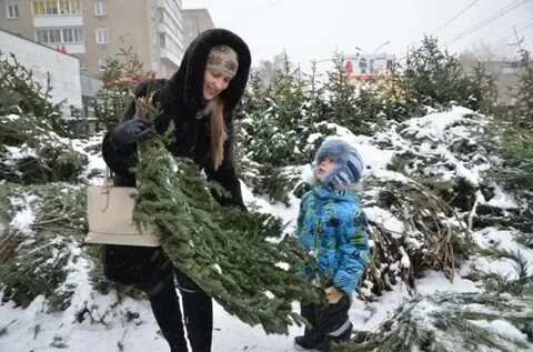 Елочный базар пермь