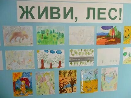 День леса живи лес