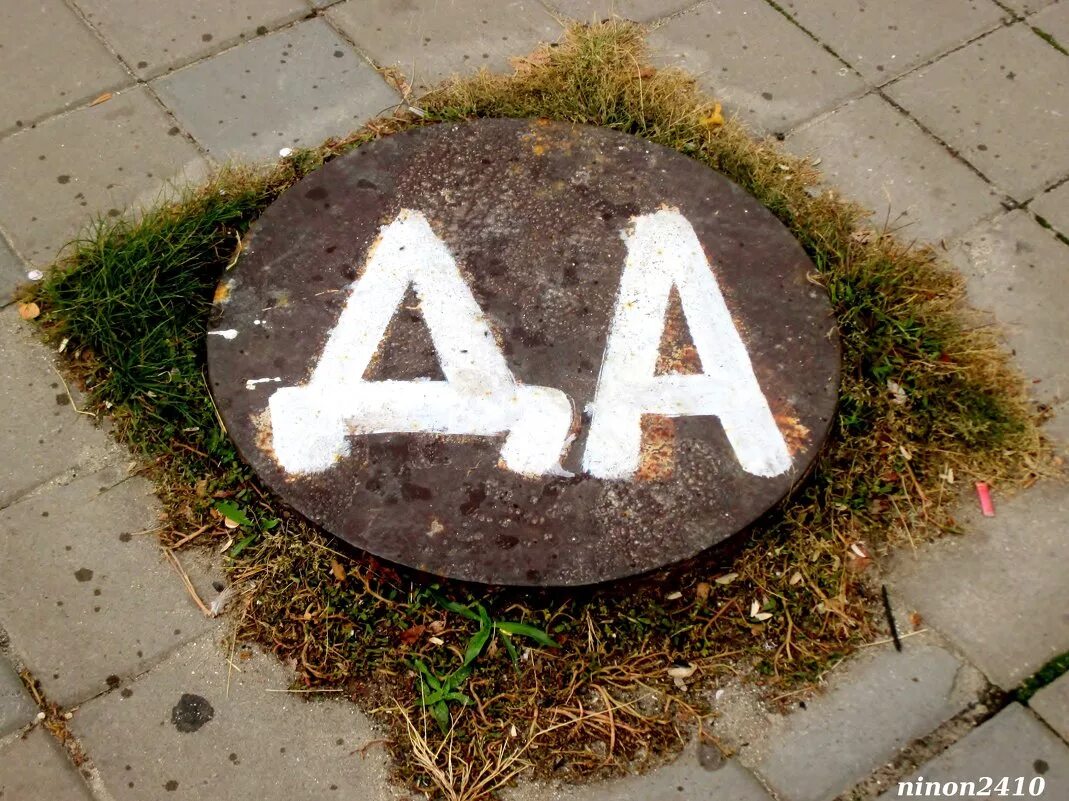 Без вариантов фраза. Земфира без шансов без вариантов. Демотиватор 6 четыре. Без вариантов прикол. Без вариантов фраза.