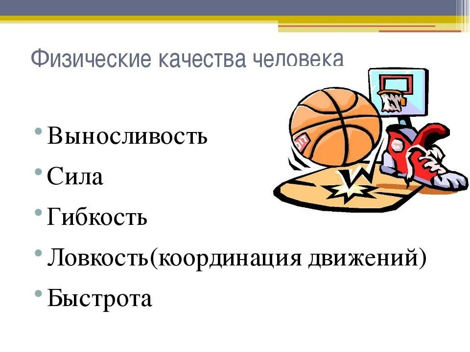Спортсмены сила ловкость. Спортсмены сила ловкость. Презентация на тему спортивный туризм. Физические качества. Спортсмены сила ловкость.