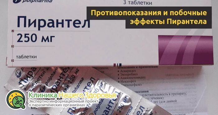 Можно ли собаке пирантел от глистов. Пирантел таблетки 250. пирантел таблетки дозировка. пирантел таблетки для взрослых. пирантел таблетки для кошек дозировка в таблетках.