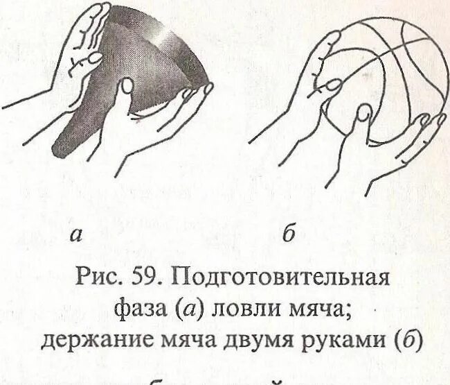 1 ловля мяча. Фазы ловли мяча. Техника держания мяча в баскетболе. Держание мяча в баскетболе. Ловля мяча двумя руками в баскетболе.