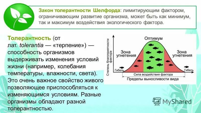 Закон толерантности Шелфорда в экологии. (Закон минимума, закон толерантности, закон лимитирующего фактора).. Закон экологического оптимума Шелфорда. Закон толерантности в экологии. Рост толерантности пав