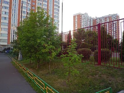 Рябиновая 24 москва