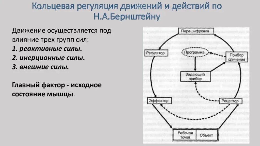 Структура состояние движение. Регуляция произвольных движений схема. Кольцевая регуляция и уровни построения движений. Механизмы регуляции движения. Организация центральной регуляции движений.