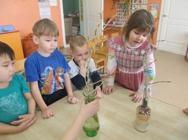 Кружок дополнительного образования в детском саду. Кружки дополнительного образования в детском саду. доп кружок в старшей группе детского сада. экологические кружки в дополнительном образовании. кружки юннатов дополнительная образовательная.