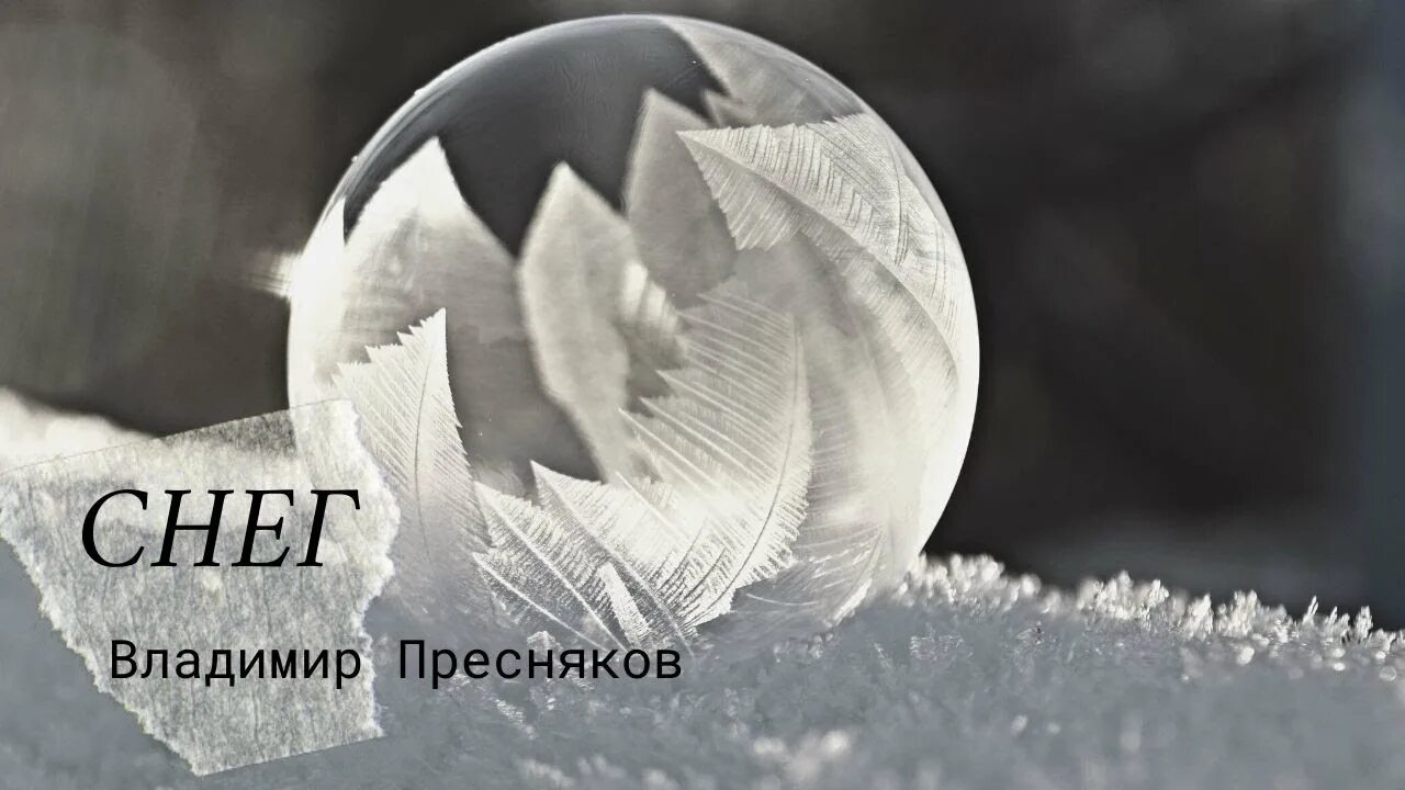 Белый снег пресняков текст. Владимир пресняков снег. слова снег пресняков. владимир пресняков белый снег текст. белый снег слова пресняков.
