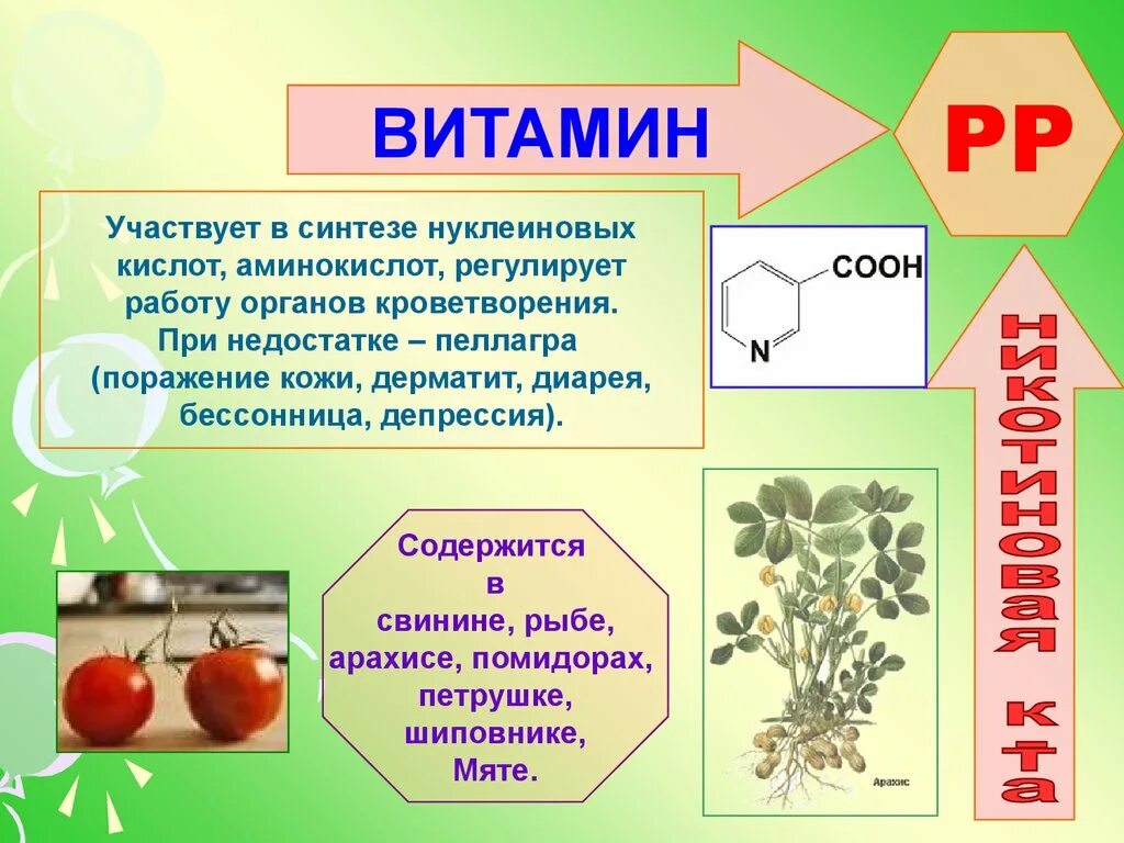 Значение витамина pp