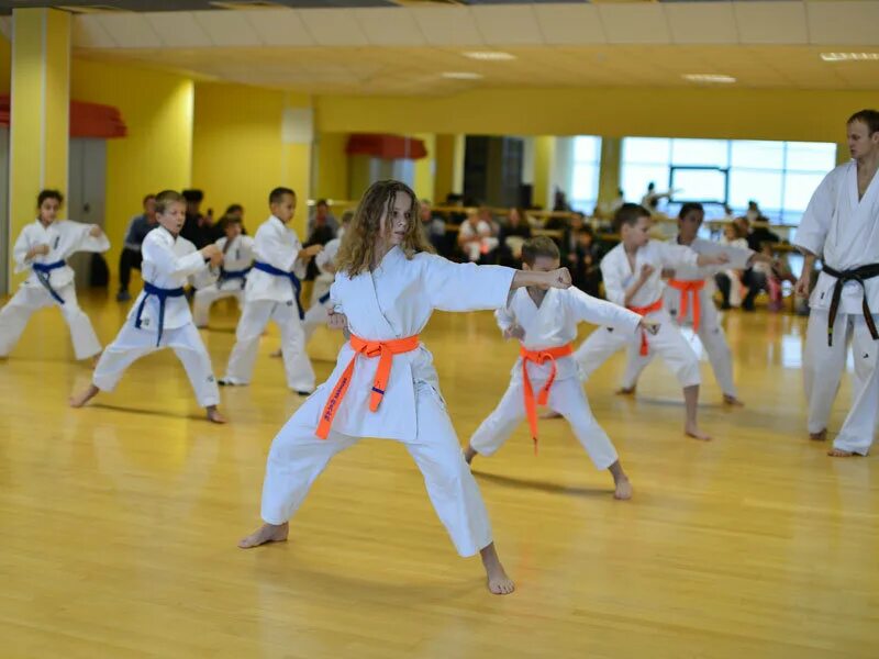 Фехтование в королеве. Секции мытищи. Спортивный клуб мытищи. Каратэ мытищи. Улица коминтерна 16.