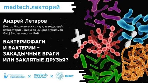 Бактерии наши друзья и враги