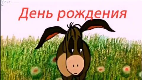На дне рождения ослика иа