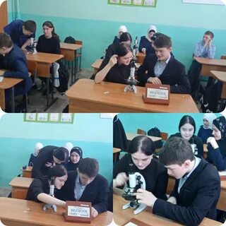 Средняя елюзань 2