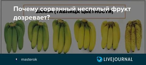 Какие фрукты дозревают