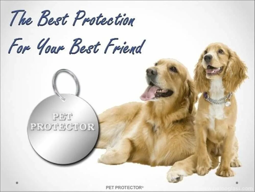 Protect my pet. Made for pets магазин. protect my pet 49 как пройти. картинки kinito pet. my friends pet 2 класс.