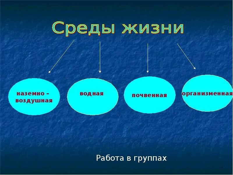 Среды жизни. Биосфера среды жизни. Среда жизни человека. Среда обитания Биосфера.