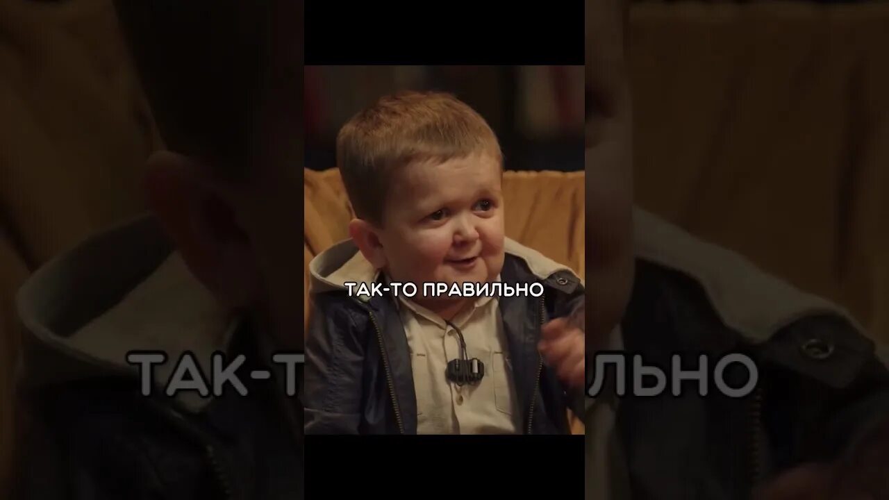 Хасбик чбд видео. Хасбик чбд видео
