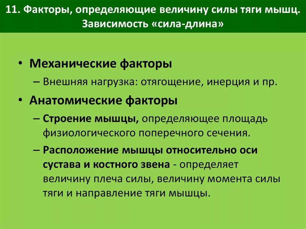 Зависимая работа. Факторы влияющие на силу мышц. Факторы определяющие силу и скорость сокращения мышц. Факторы определяющие силу сокращения скелетных мышц. Факторы, определяющие силу сокращения мышцы;.