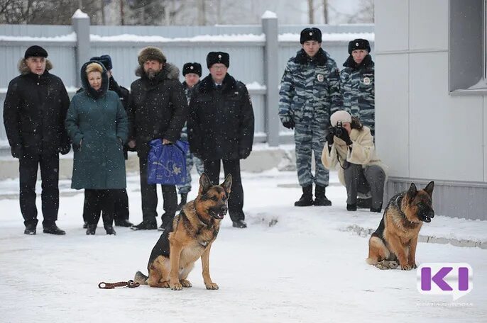 Кинолог в полиции зарплата. Кинолог в полиции зарплата