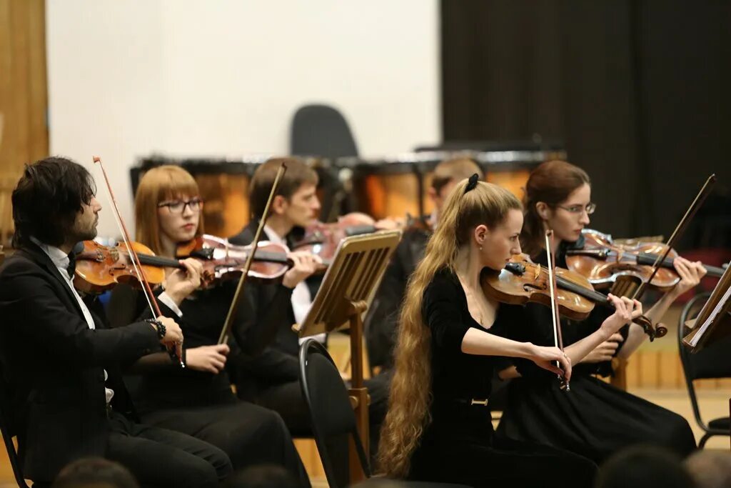 Первые скрипки в оркестре. Камерный премьер оркестр Краснодар. Оркестр симфонический Premiere Orchestra. Дмитровский камерный оркестр скрипачей. Белорусский симфонический оркестр скрипачка.