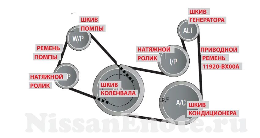 Сколько ремней в двигателе. Nissan Note 1.4 ремень генератора. Схема приводного ремня Ниссан ноут 1.6. Схема приводного ремня Ниссан ноут 1.4. Ремень приводной Ниссан Альмера 2004г.