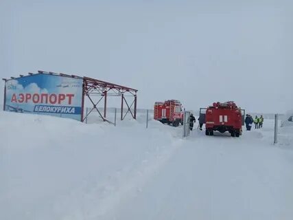 Толмачево белокуриха автобус