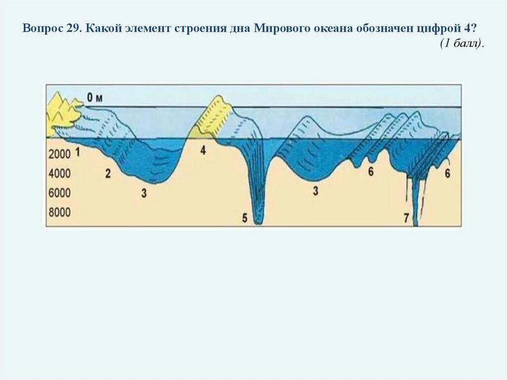 Рельеф дна мирового океана схема 5 класс. Строение рельефа дна мирового океана. Формы рельефа дна мирового океана схема. Крупные формы рельефа дна мирового океана на профиле. Рельеф на дне мирового океана