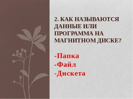 Укажите правильное имя каталога