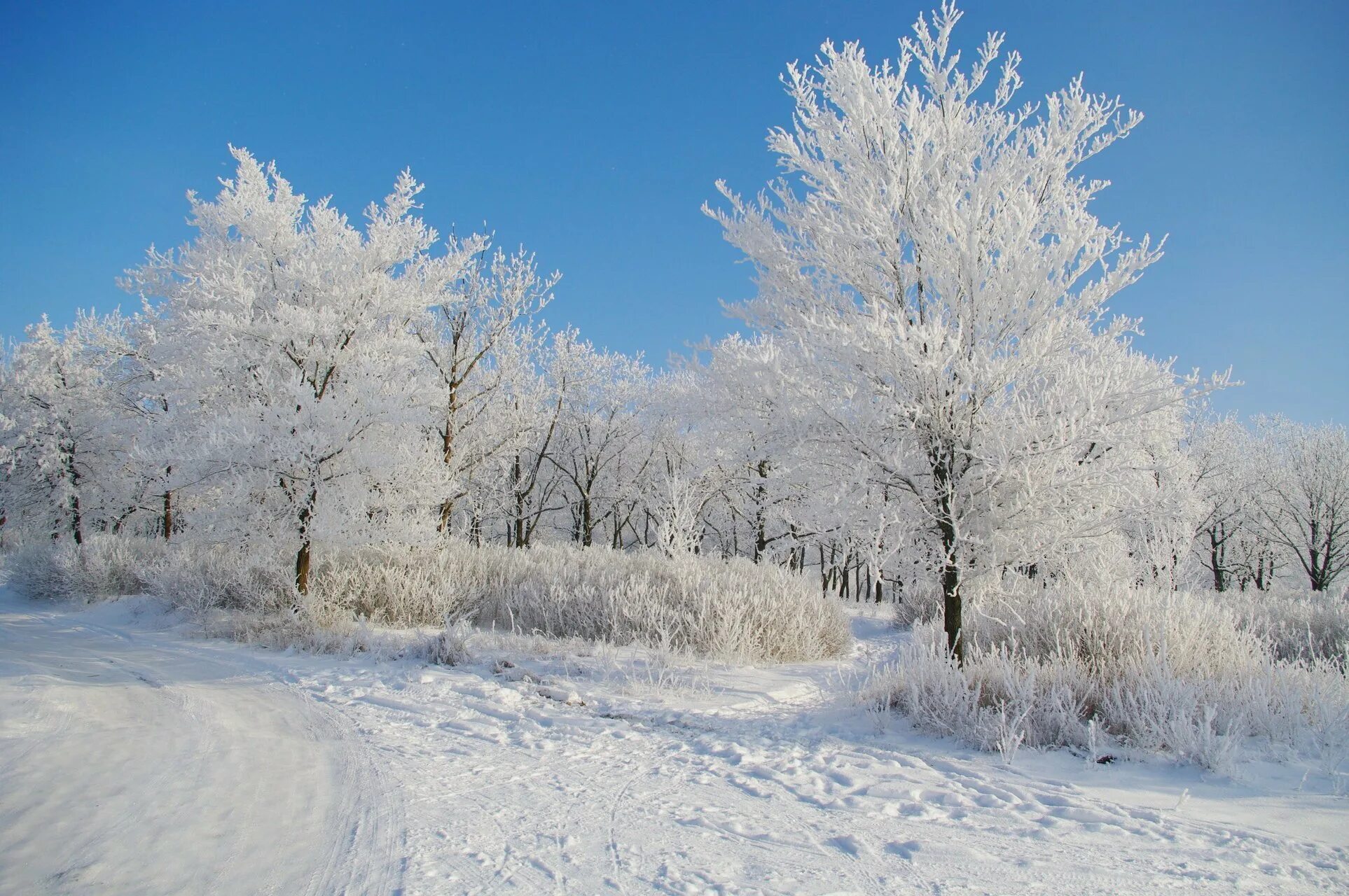 Зима картинки. Зимний пейзаж. Зимняя природа. Снежная зима. Снежный пейзаж.
