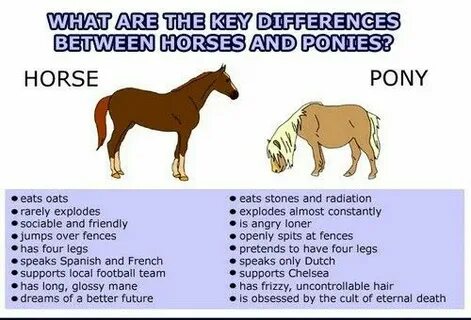 These are horses