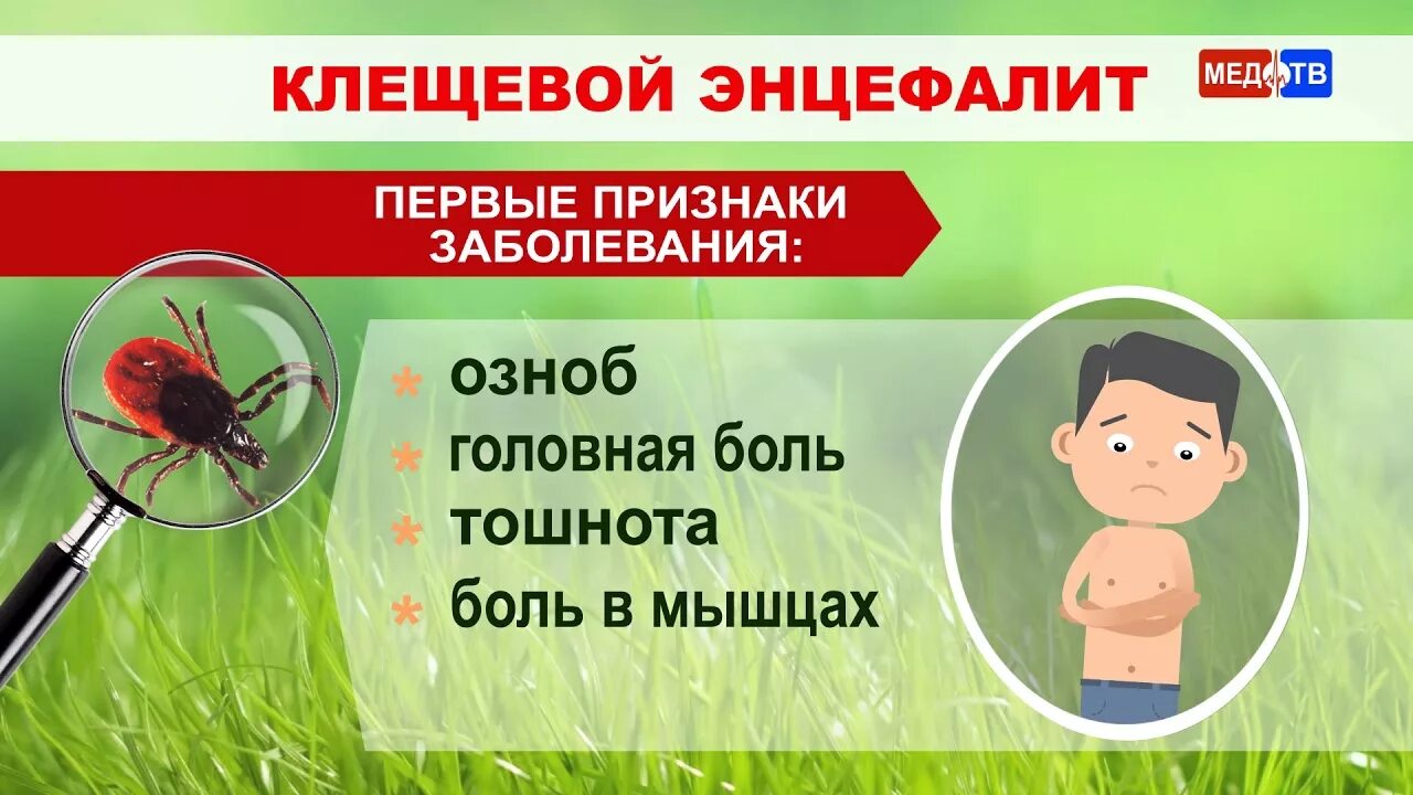 Сделать прививку от энцефалита в спб. Вирус клещевого энцефалита профилактика. Клещевойщевой энцефалит. Клещевой энцефалит у детей. Профилактика от клещей.