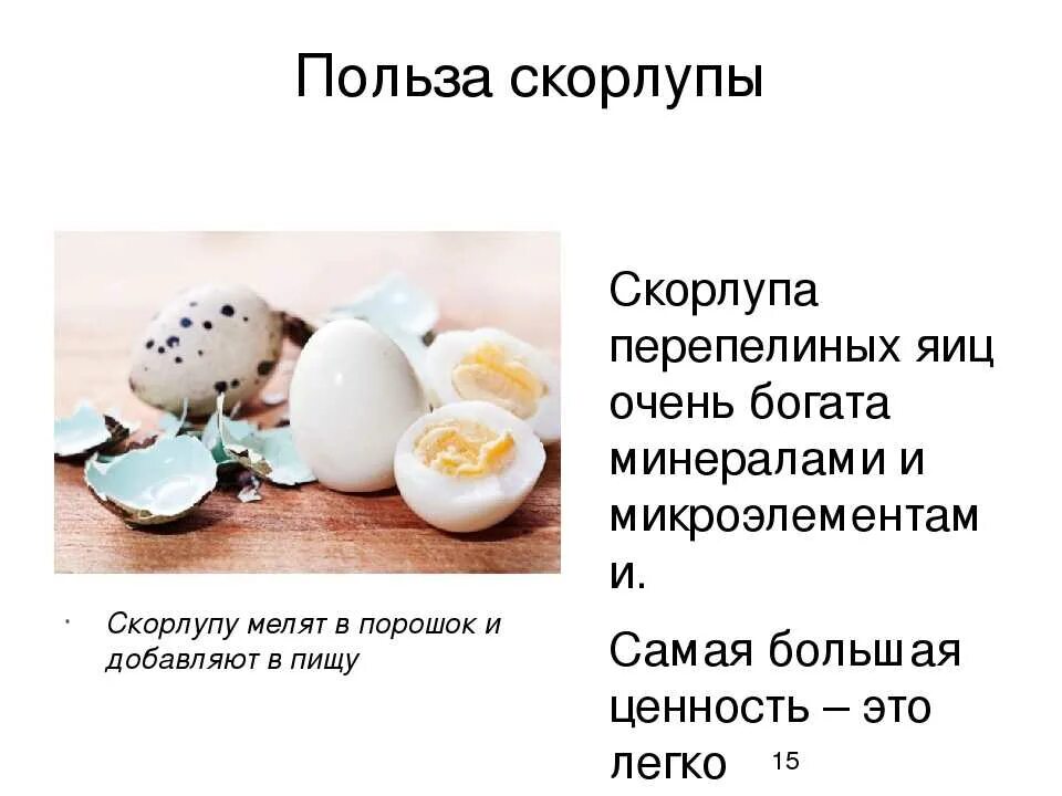Чем яйцо полезна для человека
