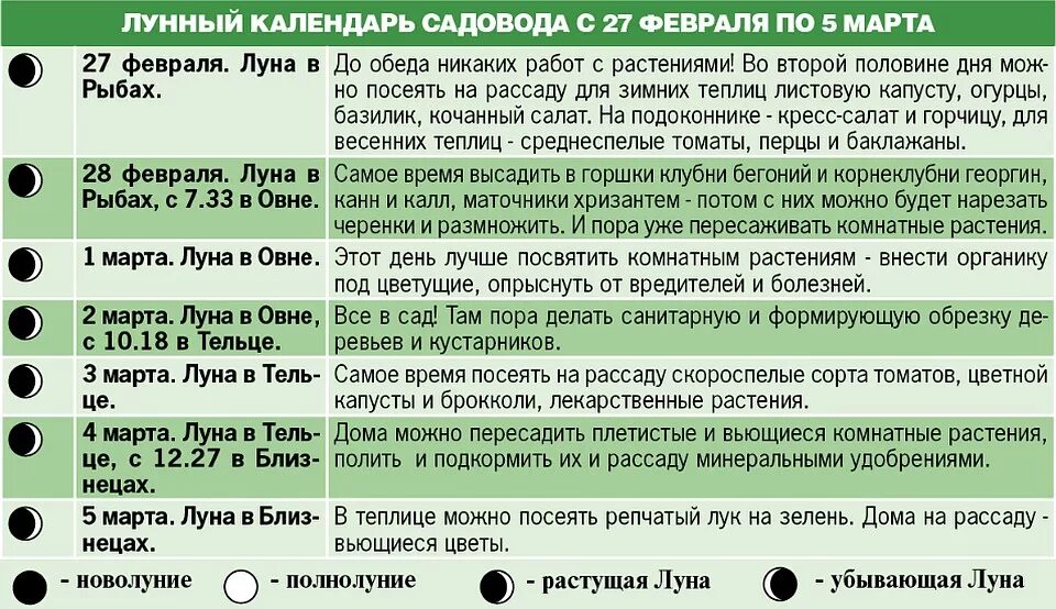 Можно пикировать рассаду на убывающую луну. Можно сажать цветы в полнолуние. Лунный календарь на комнатные цветы. Можно ли пересаживать растения в полнолуние. В какую фазу Луны лучше пересаживать комнатные растения.