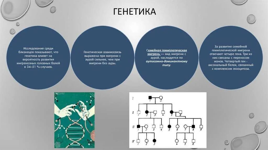 Генетика носа. Фильтр генетика. Длинный фильтр это в генетике. Удлиненный фильтр в генетике. Генетика соотношения.