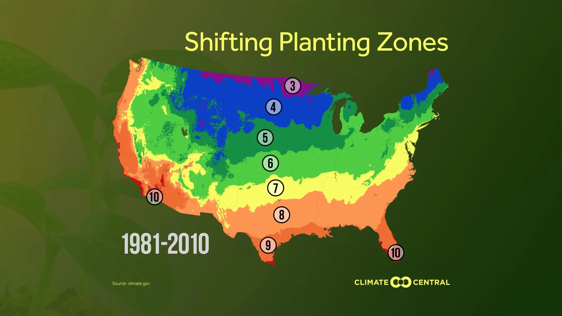 Климат США. Climate Zones of the USA. Plant Zone. Зоны USDA Японии. Natural zones