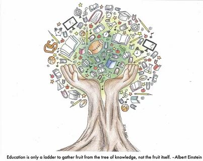Detailed knowledge