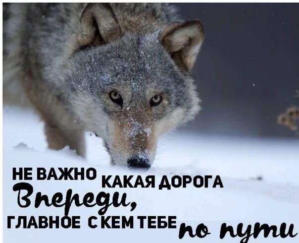 Не важно что ты. Не важно кто. Не важно кто ты важно кто ты. Не важно что главное кто. Песня где ты скем ты