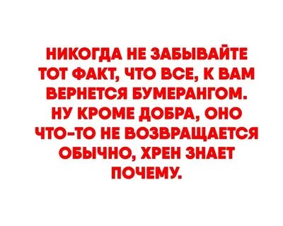 Вымощена в ад