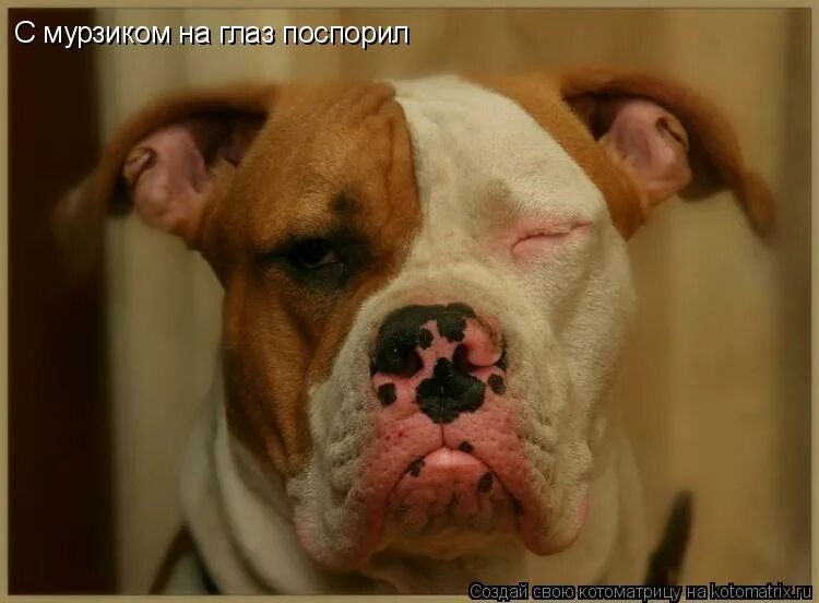 пользуясь случаем хочу передать привет