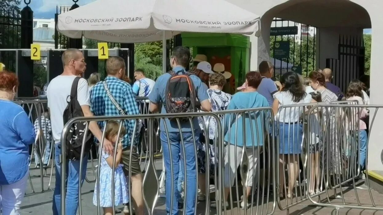 Зоопарк устраивал акцию. Московский зоопарк. Московский зоопарк прогулка. Главный Московский зоопарк. Работа в зоопарке.