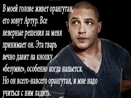 3 цитаты и та. 3 цитаты и та
