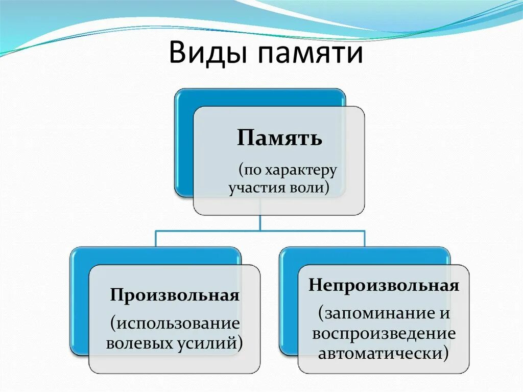 Какие типы памяти вы знаете. Виды памяти по способу запоминания таблица. Основные виды памяти схема. Типы памяти человека. Виды памяти у человека по способу запоминания.