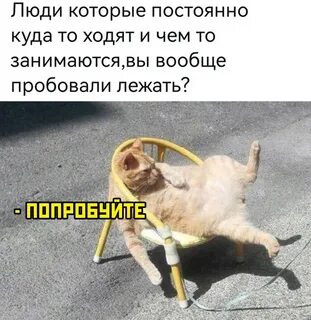 Включи 1 шутку