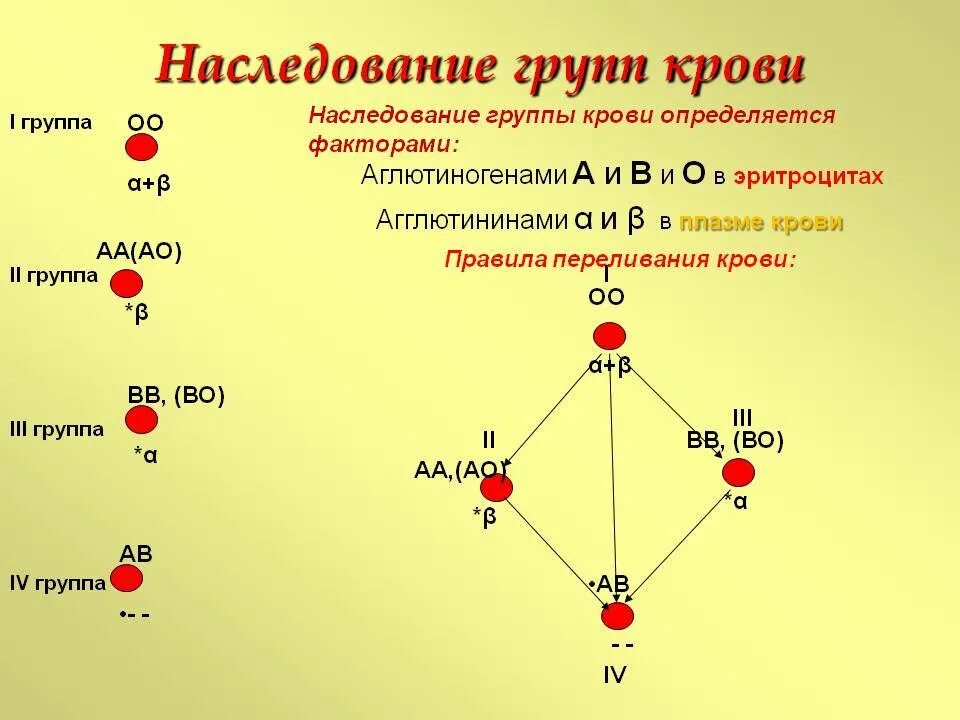 Схема наследования групп крови. Закономерности наследования групп крови. Схема наследования групп крови и резус. Наследование групп крови по системе АВО таблица.