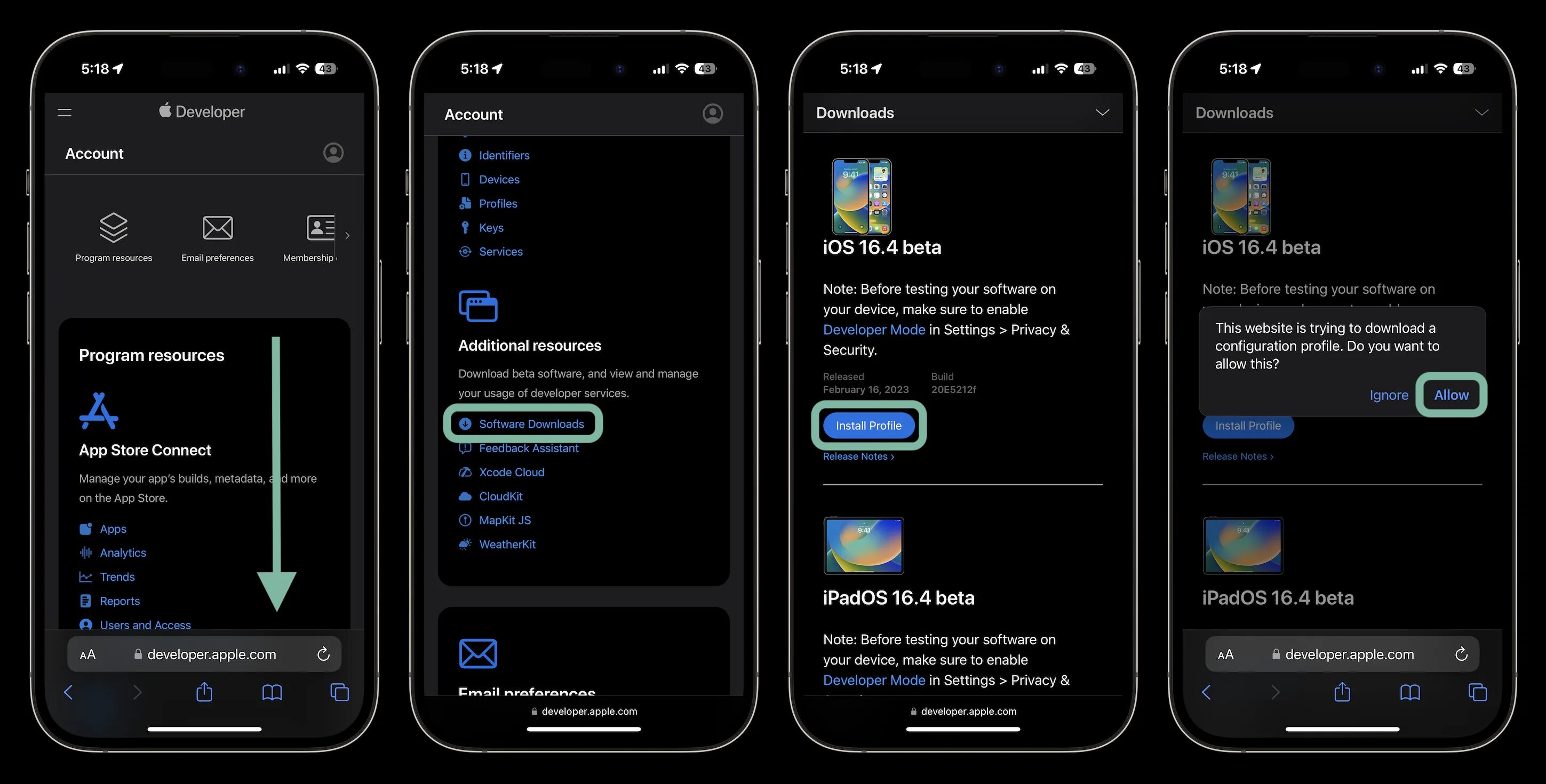 Сторонние приложения на айфон ios 18. Режим разработчика ios. версии ios. приложение айфон 16 иос. iphone 8 ios 16.